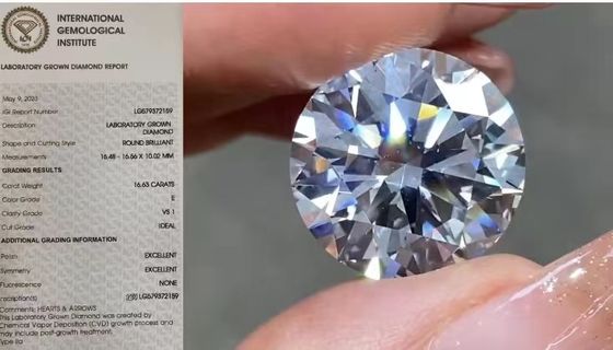 O laboratório fraco de IGI criou os diamantes 16.63Carat VS1 em volta da cor de E
